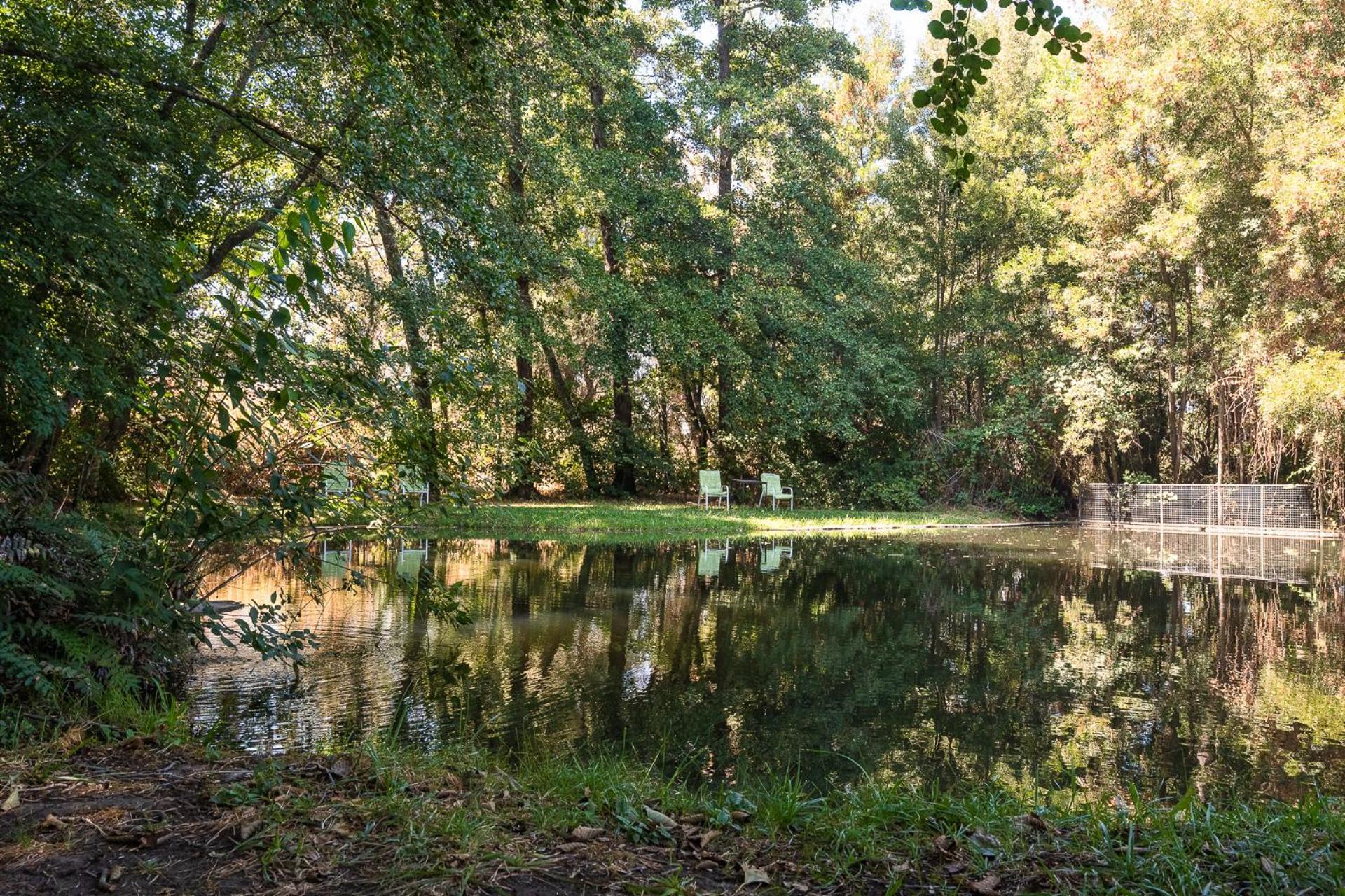 Hotel Salto Del Laja Los Ángeles Dış mekan fotoğraf
