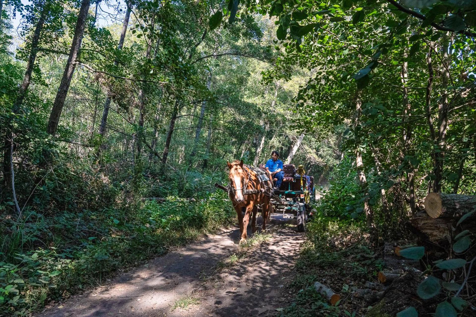 Hotel Salto Del Laja Los Ángeles Dış mekan fotoğraf
